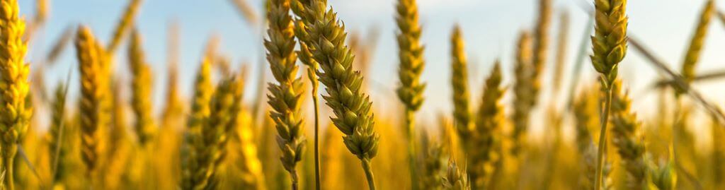 Как ООО «Энергия» внедрило в работу «Скан-Архив»