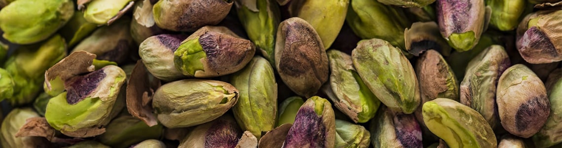 Как ООО «Сиббалт» внедрило в работу «Скан-Архив»