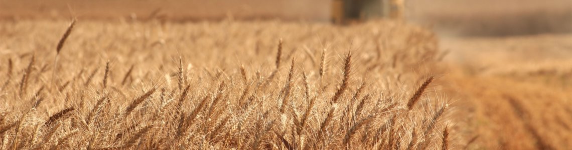 Как ООО «Агробизнес» внедрило в работу «Скан-Архив»