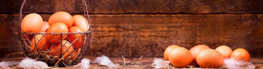 Пример внедрения Скан-Архива: Агрофирма «Русь»