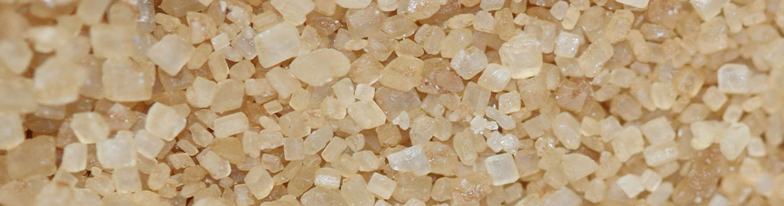 Как компания «Аргос 2003» внедрила в работу «Скан-Архив»