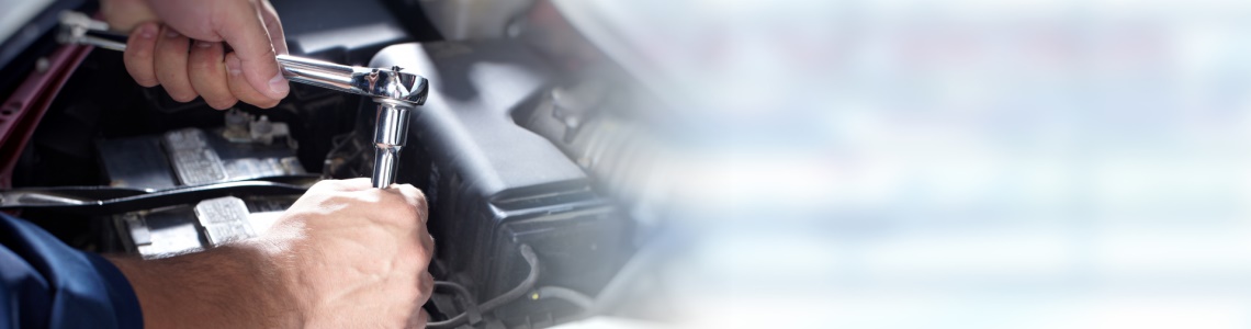 Как ООО «Белый Медведь» внедрило в работу «Скан-Архив»