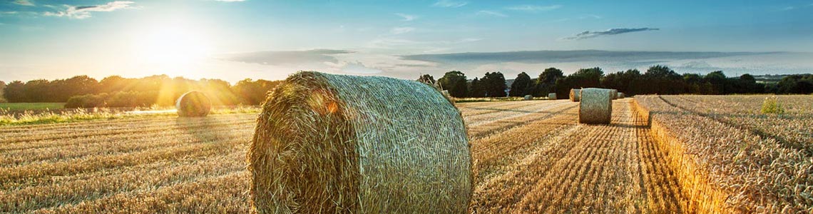 «Продимекс»